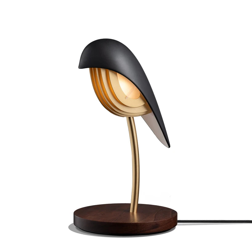Daqui concept Lamps