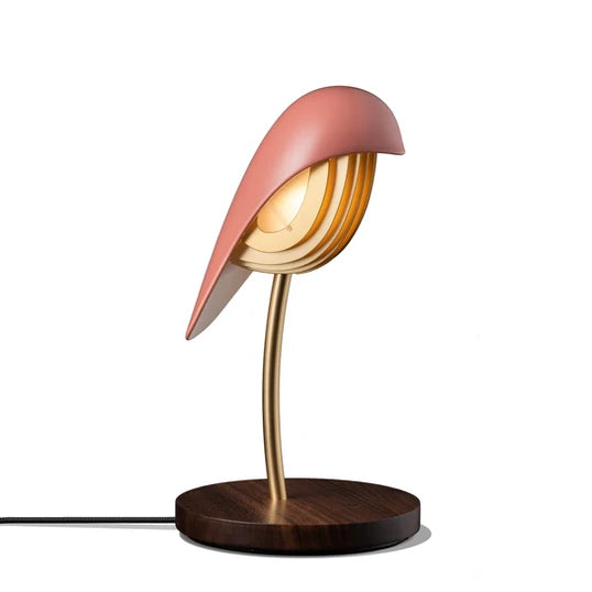Daqui concept Lamps