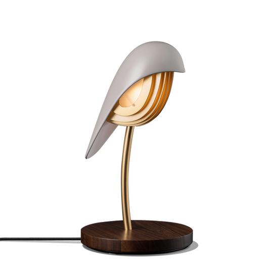 Daqui concept Lamps