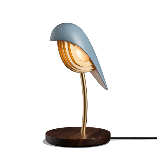 Daqui concept Lamps