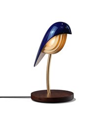 Daqui concept Lamps