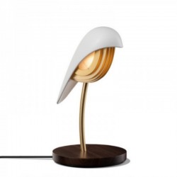 Daqui concept Lamps