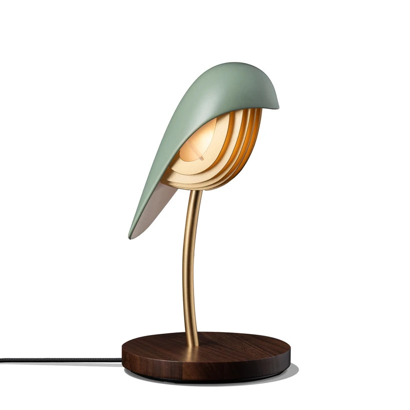 Daqui concept Lamps