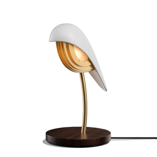 Daqui concept Lamps