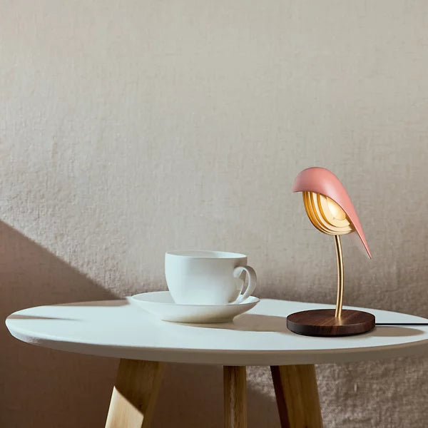 Daqui concept Lamps
