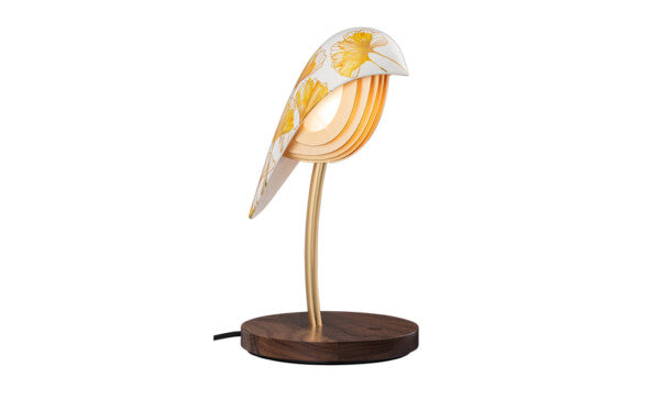 Daqui concept Lamps